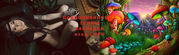 дурь Алексеевка