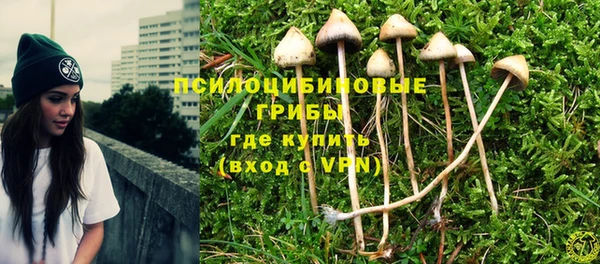 Альфа ПВП Арсеньев