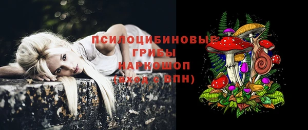 mdpv Алзамай
