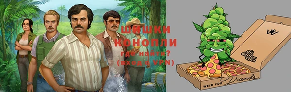 амф Алексин