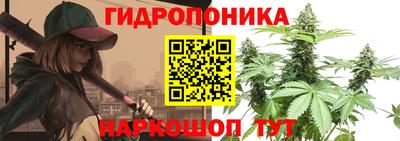 винт Гусь-Хрустальный