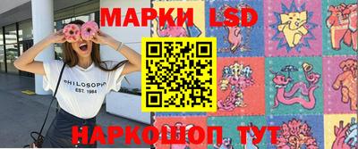 ПСИЛОЦИБИНОВЫЕ ГРИБЫ Гусев