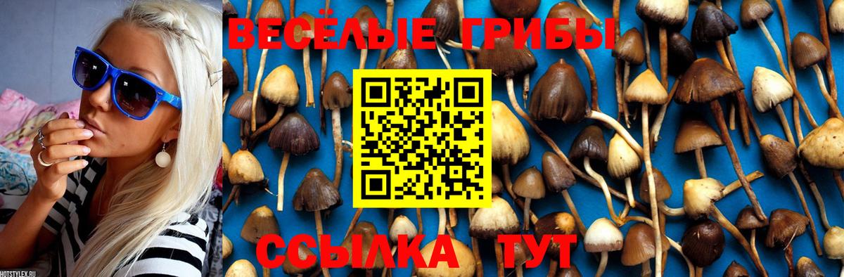 Псилоцибиновые грибы Psilocybine cubensis Усолье-Сибирское